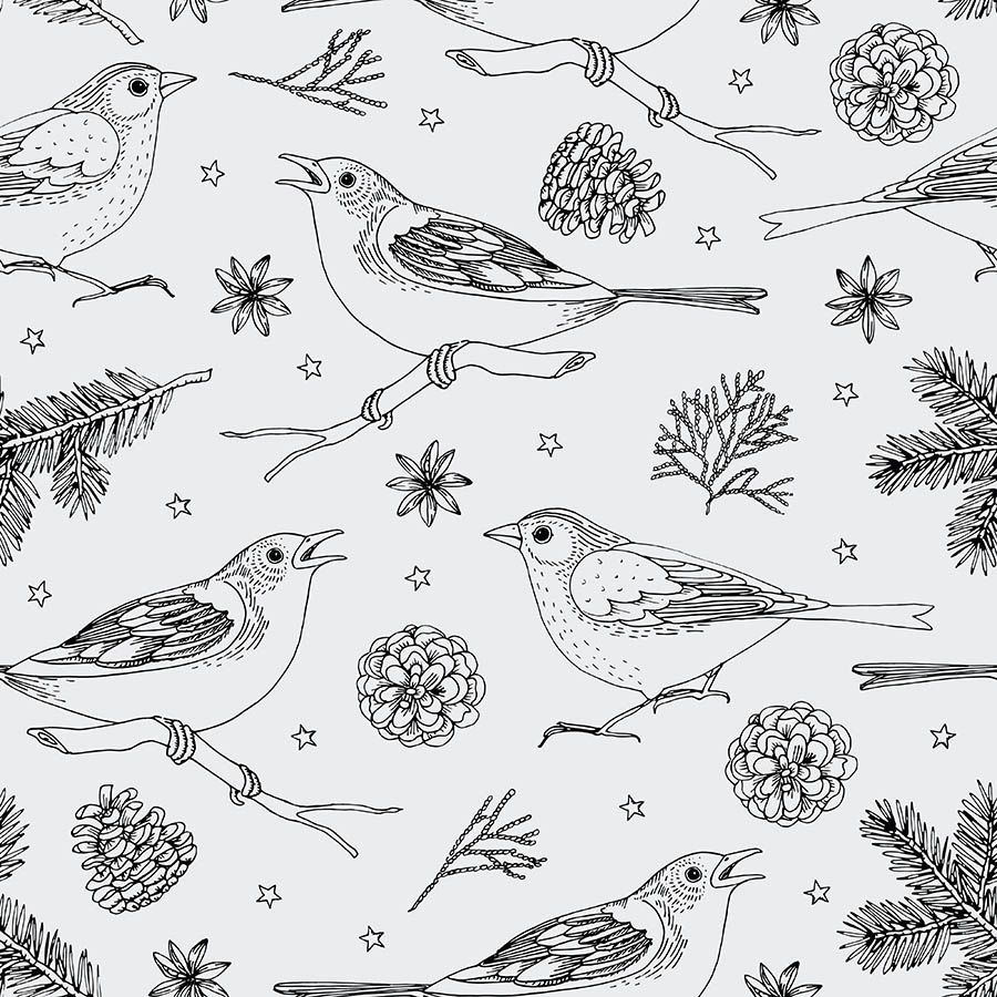 Popeline coton biologique GOTS · Elegant Bird · Collection Elegant Forest · Exclusivité Cousu Bio